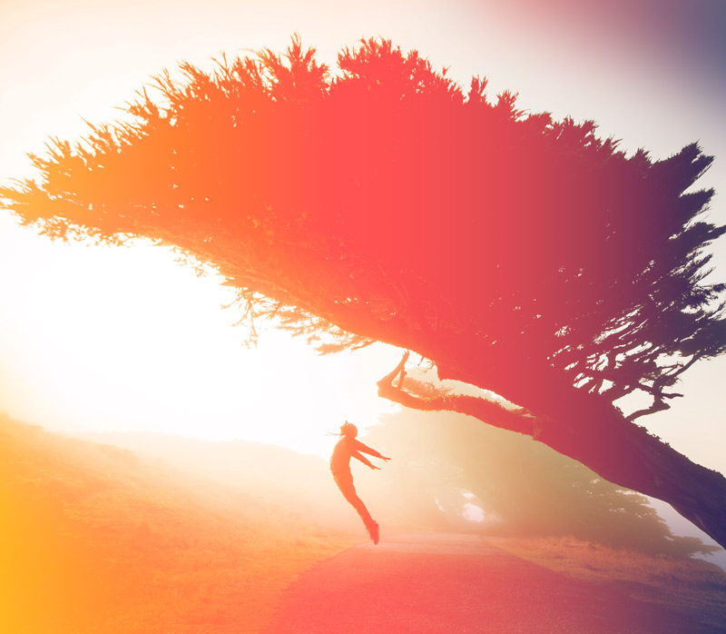 stylized photo of person leaping diagonally with arms back under a diagonally growing tree over a path, original photo by Stephen Leonardi